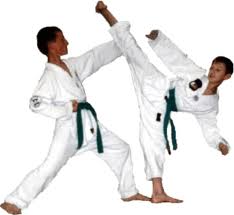 آموزش کاتا و بونکای کاراته (3عدد سی دی )