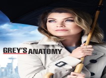 سریال  grey’s anatomy