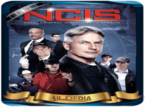 سریال NCIS: Naval Criminal Investigative Service