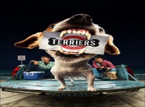 سریال Terriers